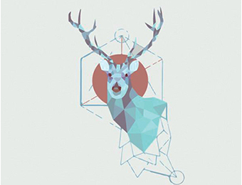 紀(jì)實文學(xué)的新變化和可能性