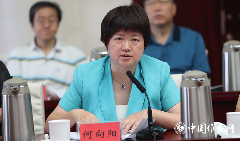 7月28日，評獎(jiǎng)辦公室主任何向陽在全體會上做關(guān)于參評作品申報(bào)情況及其它事項(xiàng)說明