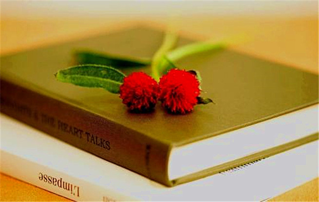 北京出版集團(tuán)世界圖書和版權(quán)日紀(jì)念講壇：閱讀，溫潤心靈