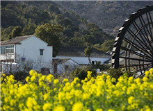 創(chuàng)意閱讀與寫作工作坊｜今天，我們?nèi)绾蚊鎸?duì)新時(shí)代的鄉(xiāng)村？從與鄉(xiāng)村有關(guān)的人物開啟敘述，再指向具體村落，展現(xiàn)鄉(xiāng)土文化……[詳細(xì)]