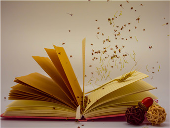 報(bào)告文學(xué)