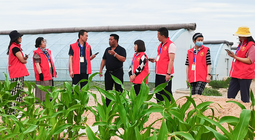 同樂村委會主任為青銅峽青年文學創(chuàng)作人才項目成員講解大棚種植