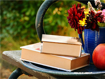 全國(guó)政協(xié)委員陳崎嶸：籌建網(wǎng)絡(luò)文學(xué)博物館 