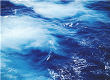 【輯二】東流去：這藍(lán)色一刻不停地沖刷著岸弄丟了愛情/只剩下獨(dú)自一人，越來越孤零/大片野花初開，一朵一朵，全都愛我/[詳細(xì)]