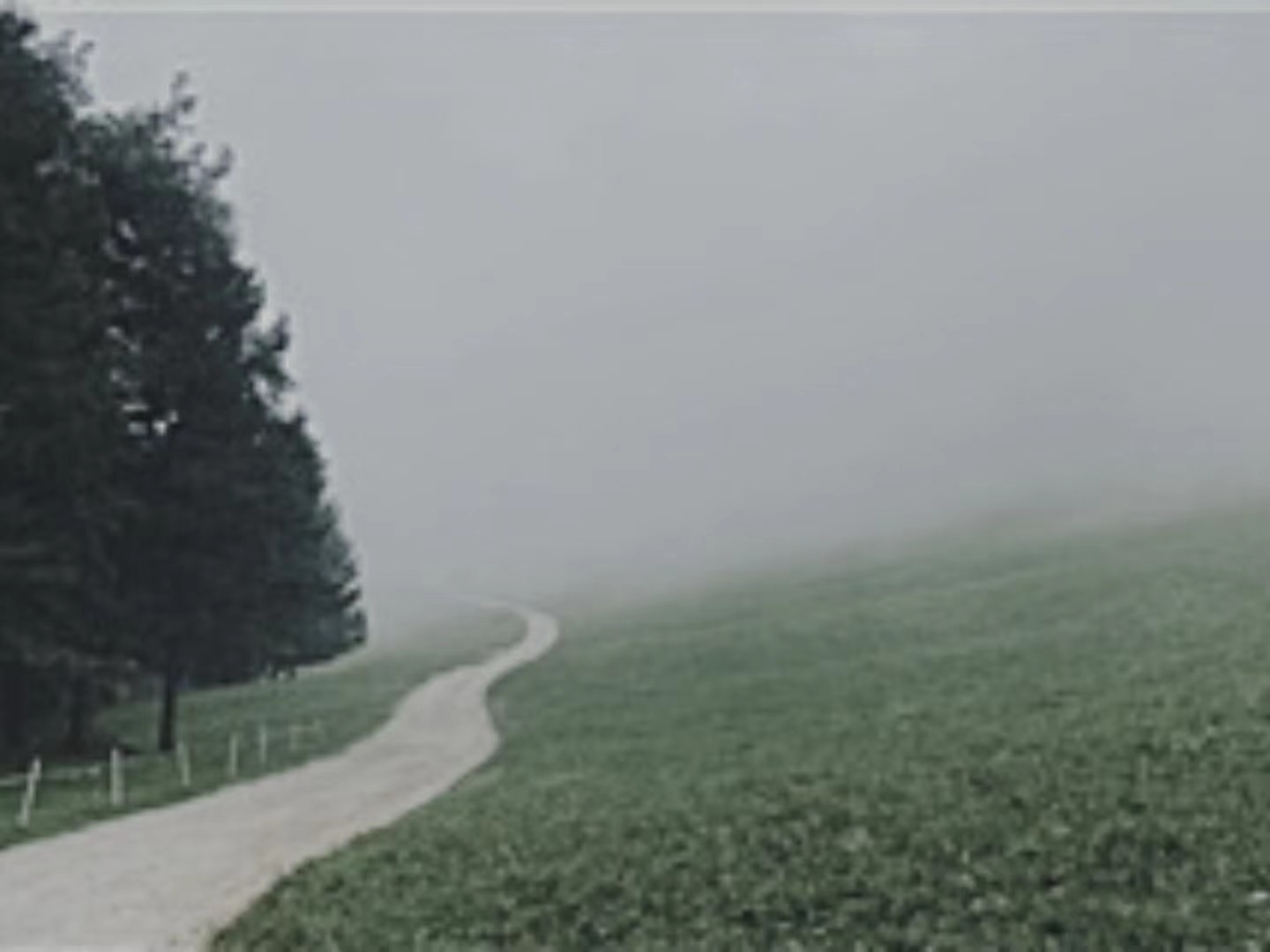 【輯一】南部山區(qū)：有時(shí)在大風(fēng)中，群山似乎在奔跑走在山間公路上/山崖在左，溪水在右/轉(zhuǎn)過兩座山，山崖到了右邊，溪水來到左邊[詳細(xì)]