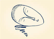 《春夢(mèng)——兼致張棗》“你慢慢變成了義山，李煜/穿長(zhǎng)衫的張棗，那個(gè)黑著臉/在水邊迷路，在木梯子前發(fā)呆/在南山的梅樹下失憶”[詳細(xì)]