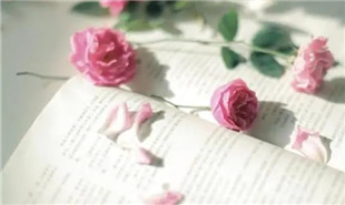 萬(wàn)古愁在秘密花園里的N種展開式