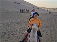 王熠：厚重和爽感，共同繪就“數(shù)字敦煌”也許我不再能為這片土地多做點(diǎn)什么，但我還能寫寫那些常年守護(hù)這片土地的人……[詳細(xì)]