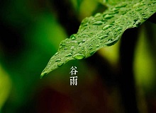 《谷雨》過了清明，就是谷雨。村莊里，田野里，村路上，草木間，人家的院落里，人們的臉上，到處都是春天的閑意思了。[詳細(xì)]