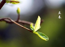 《立春》大年三十這一天，天難得放晴了。村子里到處明晃晃的，陽光映照著雪地，仿佛琉璃世界。[詳細(xì)]