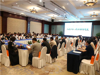 文學(xué)與影視融合發(fā)展座談會在湘舉行