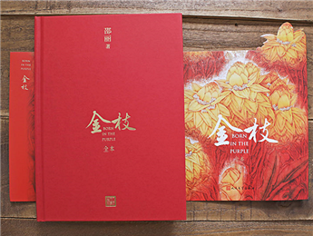 《金枝》：“虛置的父權(quán)”，使父親的角色無比尷尬