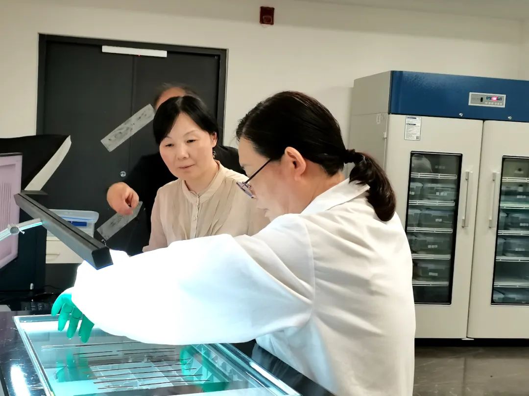 6月26日，江西作家王蕓在?；韬顕?guó)遺址公園內(nèi)的竹簡(jiǎn)修復(fù)室采訪