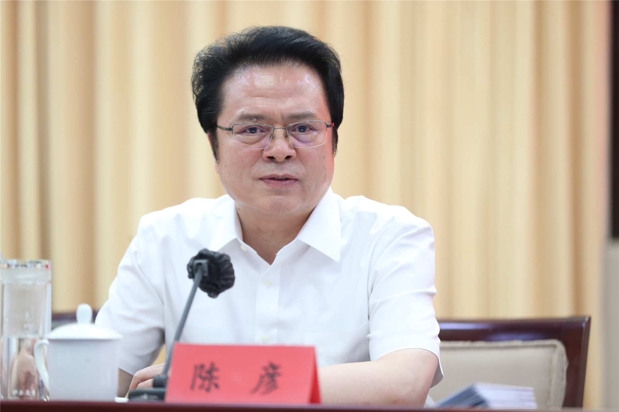 中國作協(xié)黨組成員、副主席陳彥主持會議