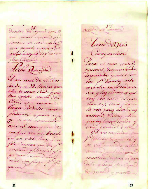 因?yàn)闀鲲?，胡安娜傳世的作品在詩歌、戲劇、隨筆之外多了一份——墨西哥最早的食譜。