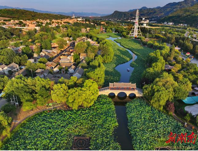 秦嶺深處的棣花古鎮(zhèn)，游人在連片荷塘中泛舟。