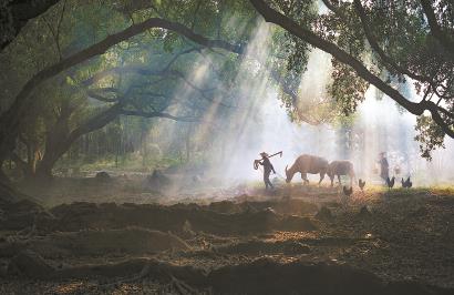 只有真正貼近鄉(xiāng)土現(xiàn)實(shí)，才能寫(xiě)出好的鄉(xiāng)土文學(xué)。 視覺(jué)中國(guó)供圖