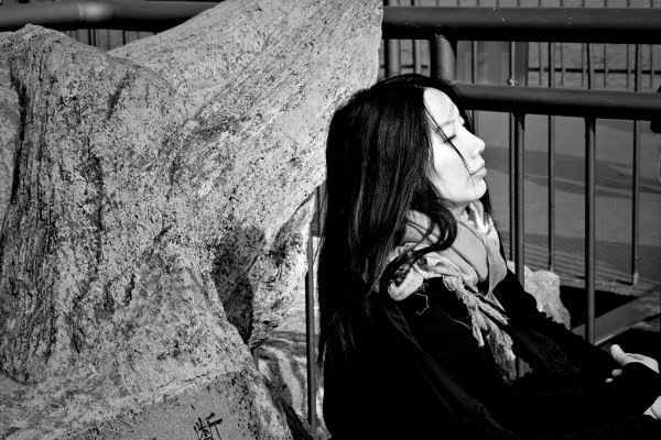 李鳳群，安徽無為人，安徽省作家協(xié)會副主席，現(xiàn)居南京。著有《大江》《大風(fēng)》《大野》《月下》等多部長篇小說。曾獲第三、第四屆紫金山文學(xué)獎，江蘇省“五個一工程”獎，安徽省首屆魯彥周文學(xué)獎長篇小說獎，第七屆魯迅文學(xué)獎中篇小說獎提名，《人民文學(xué)》2018年度長篇小說獎，南方文學(xué)盛典2020年度小說家提名獎，中國好書獎等獎項。