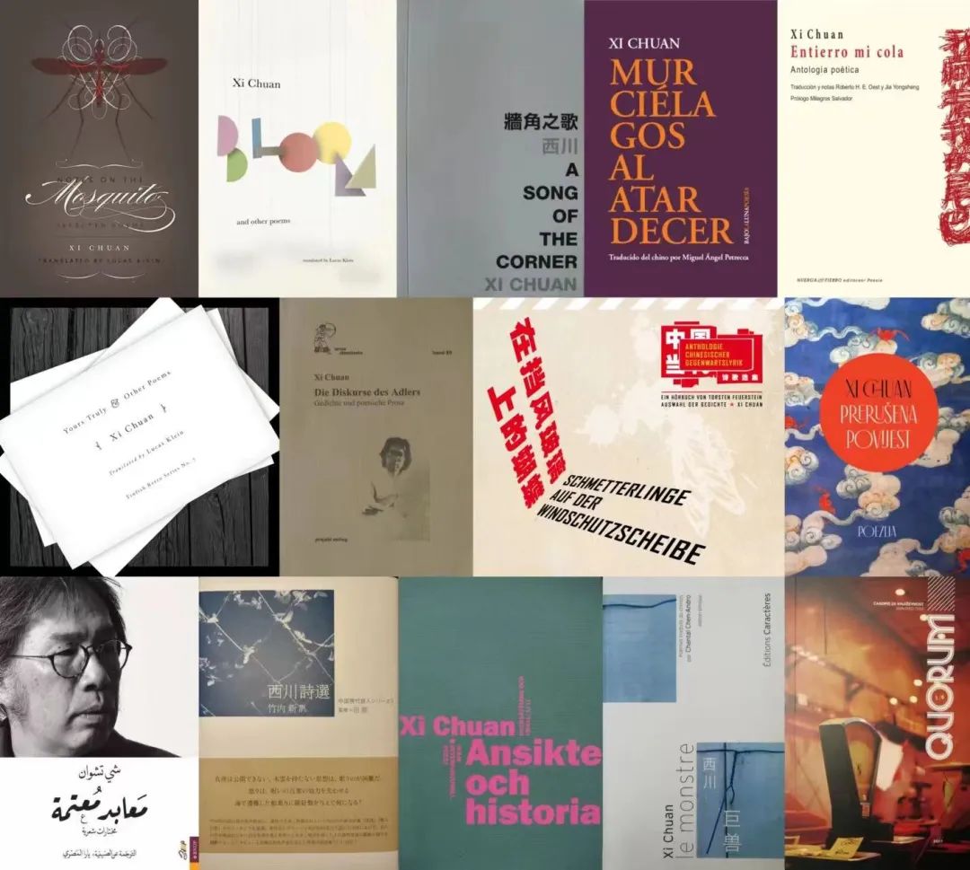 西川在國內(nèi)外出版的部分圖書