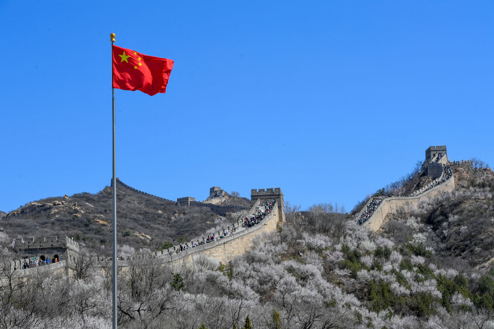 2024年4月7日，游客在山花盛開的八達(dá)嶺長(zhǎng)城觀光游覽。新華社記者 鞠煥宗 攝