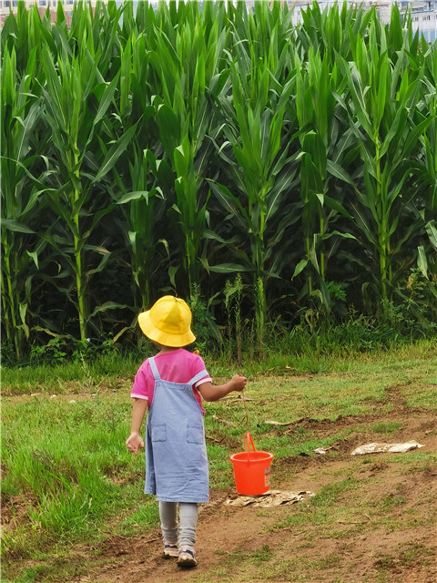 孩子們的背影。劉雪韜周末經(jīng)常和愛人一同陪伴孩子去他們喜歡的地方騎車、玩耍。對(duì)他們來說，相聚的時(shí)光遠(yuǎn)比一些熱鬧的應(yīng)酬重要。