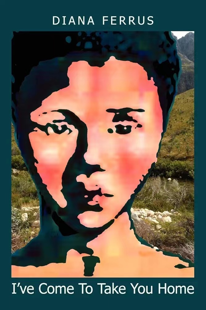 費(fèi)魯斯詩集《我來接你回家》書影