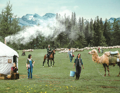 電視劇《我的阿勒泰》海報(bào)