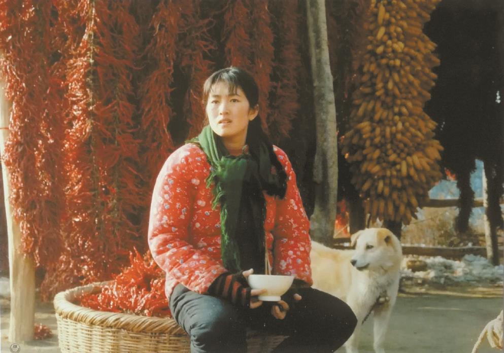 劉恒擔(dān)任編劇的電影《秋菊打官司》曾獲得第49屆威尼斯電影節(jié)金獅獎(jiǎng)、第13屆中國(guó)電影金雞獎(jiǎng)最佳故事片獎(jiǎng)等獎(jiǎng)項(xiàng)。