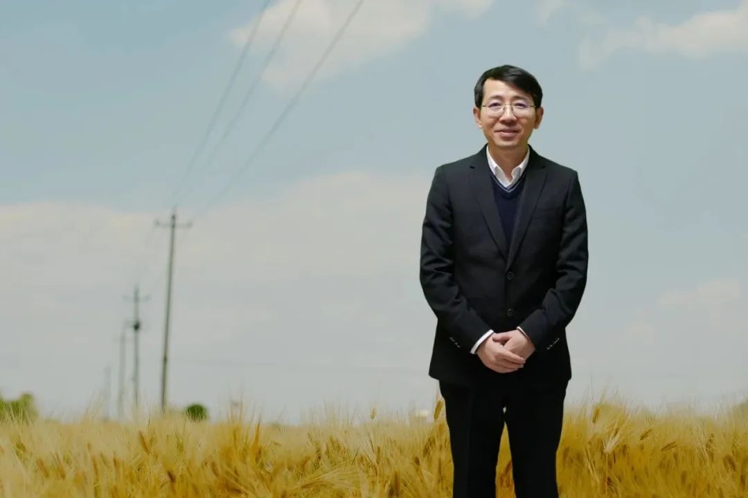 羅長青，男，1981年生，湖南衡陽人；博士畢業(yè)于南京大學，曾在復旦大學中國語言文學博士后流動站從事博士后研究，曾任貴州師范大學文學院教授，博士研究生導師；現(xiàn)為廣東外語外貿(mào)大學中國語言文化學院教授；主要從事中國當代文學與文化現(xiàn)象研究。