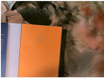 時代巨變的激流中，青春生命的成人禮