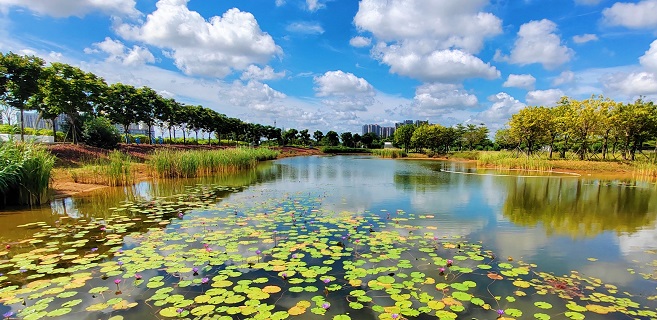 《厚土生金》:八桂大地的壯闊報告