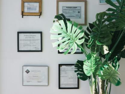 美國(guó)和歐洲多地評(píng)出的2024年年度最佳圖書一瞥