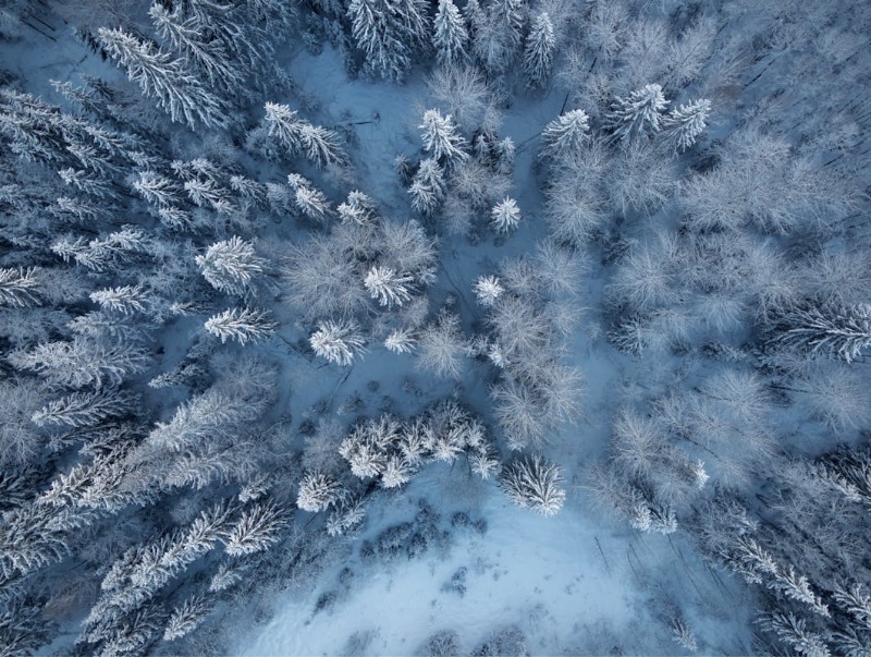 我的“關(guān)鍵之書(shū)”（三）