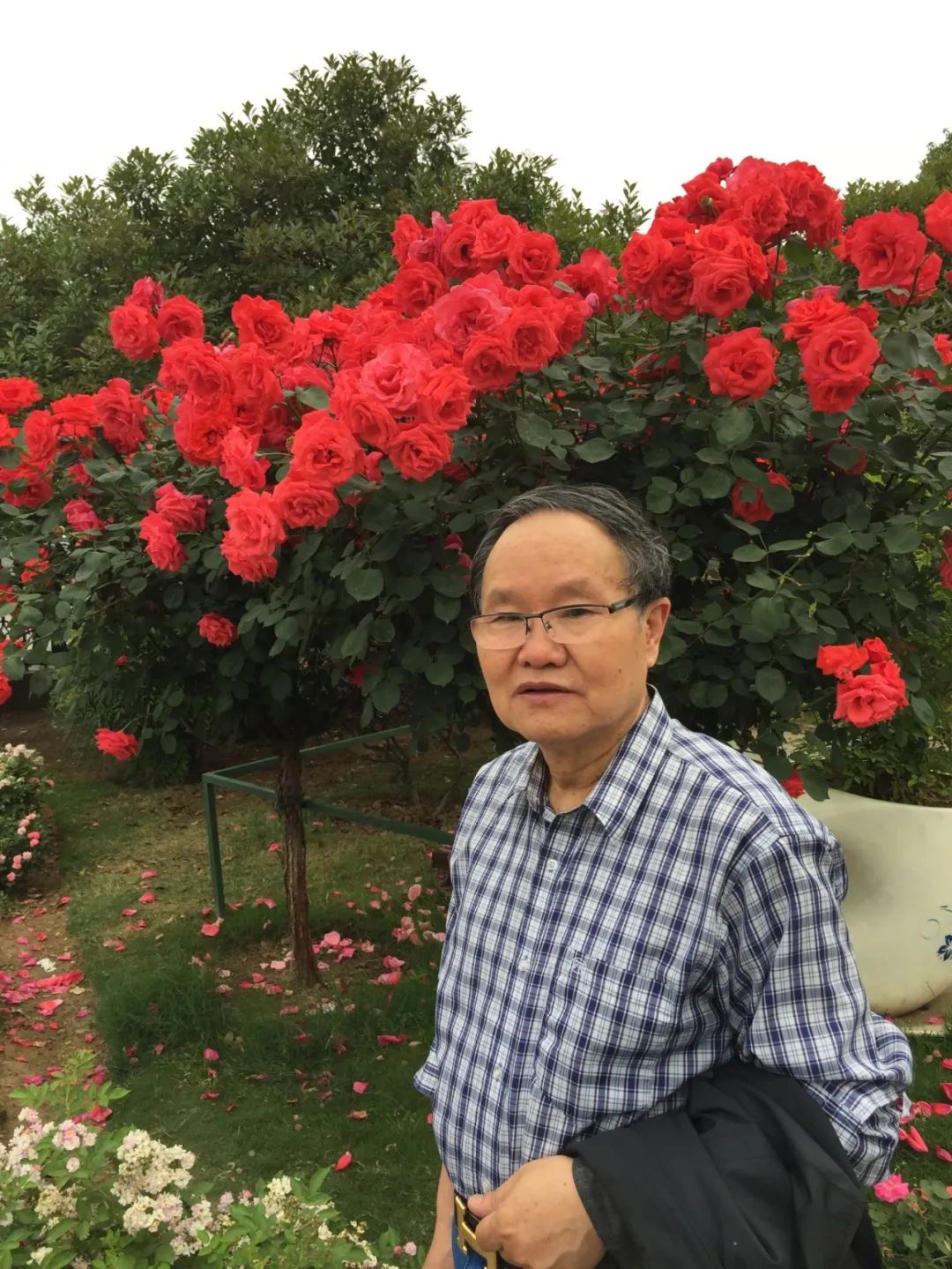 【劉慶邦，1951年生于河南沈丘。著有長(zhǎng)篇小說《斷層》《遠(yuǎn)方詩意》《平原上的歌謠》《紅煤》《遍地月光》《黑白男女》《女工繪》《花燈調(diào)》等十四部，中短篇小說集、散文集《走窯漢》《梅妞放羊》《遍地白花》《響器》《黃花繡》《到處有道》等七十余部?！秳c邦短篇小說編年》十二卷。短篇小說《鞋》獲第二屆魯迅文學(xué)獎(jiǎng)。中篇小說《神木》《啞炮》獲第二屆和第四屆老舍文學(xué)獎(jiǎng)。中篇小說《到城里去》和長(zhǎng)篇小說《紅煤》分別獲第四屆、第五屆北京市文學(xué)藝術(shù)獎(jiǎng)。長(zhǎng)篇小說《遍地月光》獲第八屆茅盾文學(xué)獎(jiǎng)提名。長(zhǎng)篇小說《黑白男女》獲首屆吳承恩長(zhǎng)篇小說獎(jiǎng)。長(zhǎng)篇小說《家長(zhǎng)》獲第二屆南丁文學(xué)獎(jiǎng)。長(zhǎng)篇散文《陪護(hù)母親日記》獲第二屆孫犁散文獎(jiǎng)。曾獲北京市首屆德藝雙馨獎(jiǎng)，首屆林斤瀾杰出短篇小說作家獎(jiǎng)，第十屆冰心散文獎(jiǎng)。獲《北京文學(xué)》獎(jiǎng)十五次；《十月》文學(xué)獎(jiǎng)七次；《小說月報(bào)》百花獎(jiǎng)八次等。根據(jù)其小說《神木》改編的電影《盲井》獲第53屆柏林電影藝術(shù)節(jié)銀熊獎(jiǎng)。1990年加入中國作家協(xié)會(huì)，為中國煤礦作家協(xié)會(huì)名譽(yù)主席，北京作家協(xié)會(huì)原副主席，一級(jí)作家，北京市第十、第十一、第十二屆政協(xié)委員，中國作家協(xié)會(huì)第五、第六、第七、第八、第九屆全國委員會(huì)委員?！?></p>
<p style=