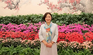 全國政協(xié)委員、網(wǎng)絡(luò)文學(xué)作家蔣勝男