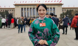 全國政協(xié)委員、山西藝術(shù)職業(yè)學(xué)院黨委委員、副院長苗潔