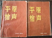 從未遠(yuǎn)去的“平原槍聲”　　合上《平原槍聲》最后一頁，初聽現(xiàn)實中肖張鎮(zhèn)這個地名，心頭不禁一震：莫不是小說中的肖家鎮(zhèn)？[詳細(xì)]