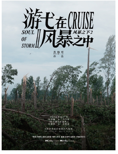 《游弋在風(fēng)暴之中》海報(bào)