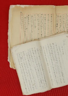 一份日記，如同顯微鏡下的“抗戰(zhàn)長城”　　1939年，作家戰(zhàn)地訪問團(tuán)北上前線途中，盡管危險重重，又緊張又勞累，王禮錫仍然想盡辦法詳細(xì)記錄下訪問團(tuán)的活動和他自己的生活，或許他未曾想過這些文字會穿越戰(zhàn)火，歷經(jīng)風(fēng)風(fēng)雨雨八十余載，成為一把打開抗戰(zhàn)歷史的特殊密鑰。[詳細(xì)]