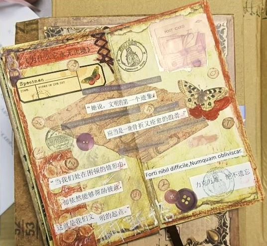 閱讀摘抄手賬，來源：讀者“朝夕昭奚”微博