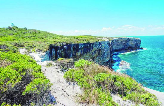 1769年，庫(kù)克中尉帶領(lǐng)“奮進(jìn)號(hào)”萬(wàn)里遠(yuǎn)航，于1770年4月29日抵達(dá)悉尼東海岸，并把這個(gè)海灣命名為“植物灣”。如今的植物灣，碧水藍(lán)天，繁花點(diǎn)點(diǎn)，早已是另外一番景象。 植物灣